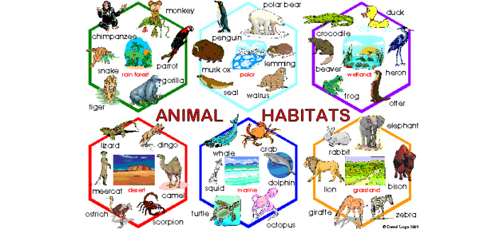 Habitats - Welcome to 4th Grade!